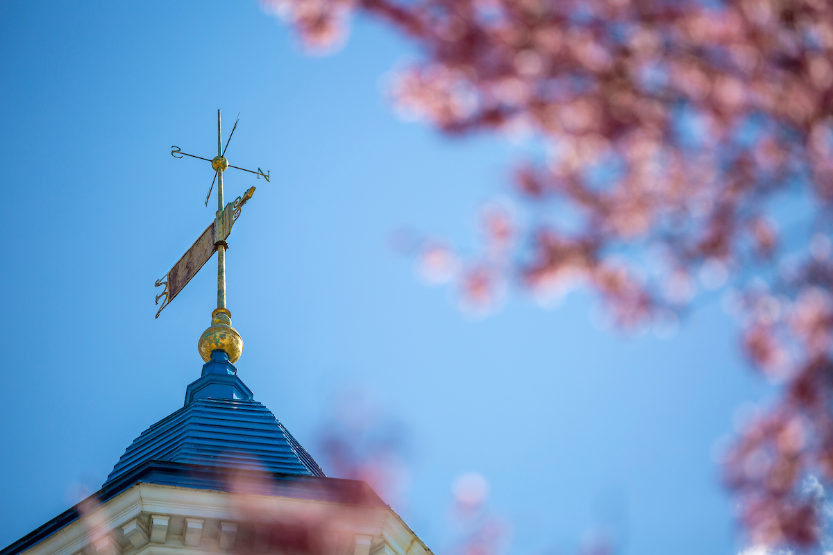 The weather vane atop Barshinger amid pink flowers on a tree.