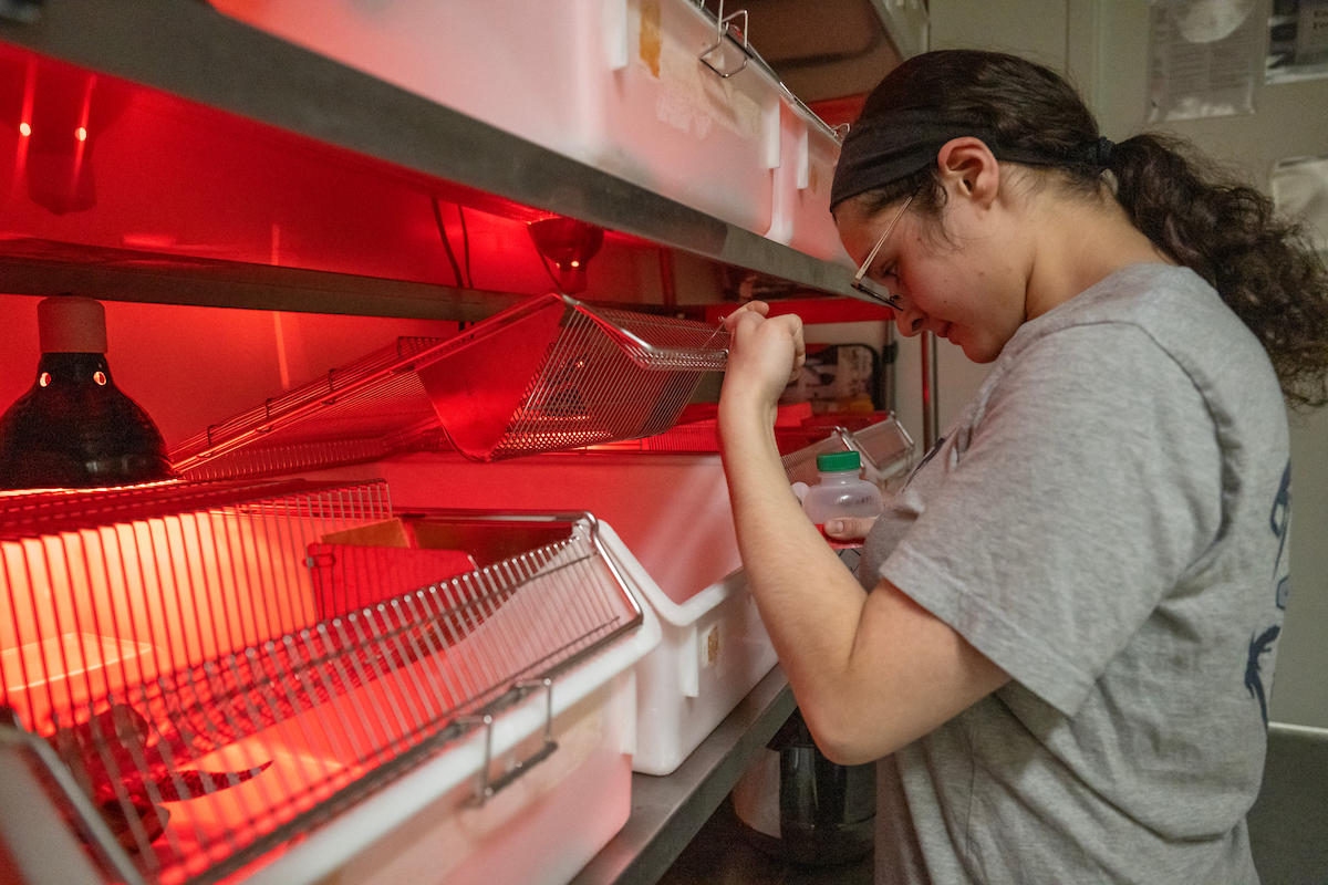 Shoshana Frank '24 in the F&M Vivarium