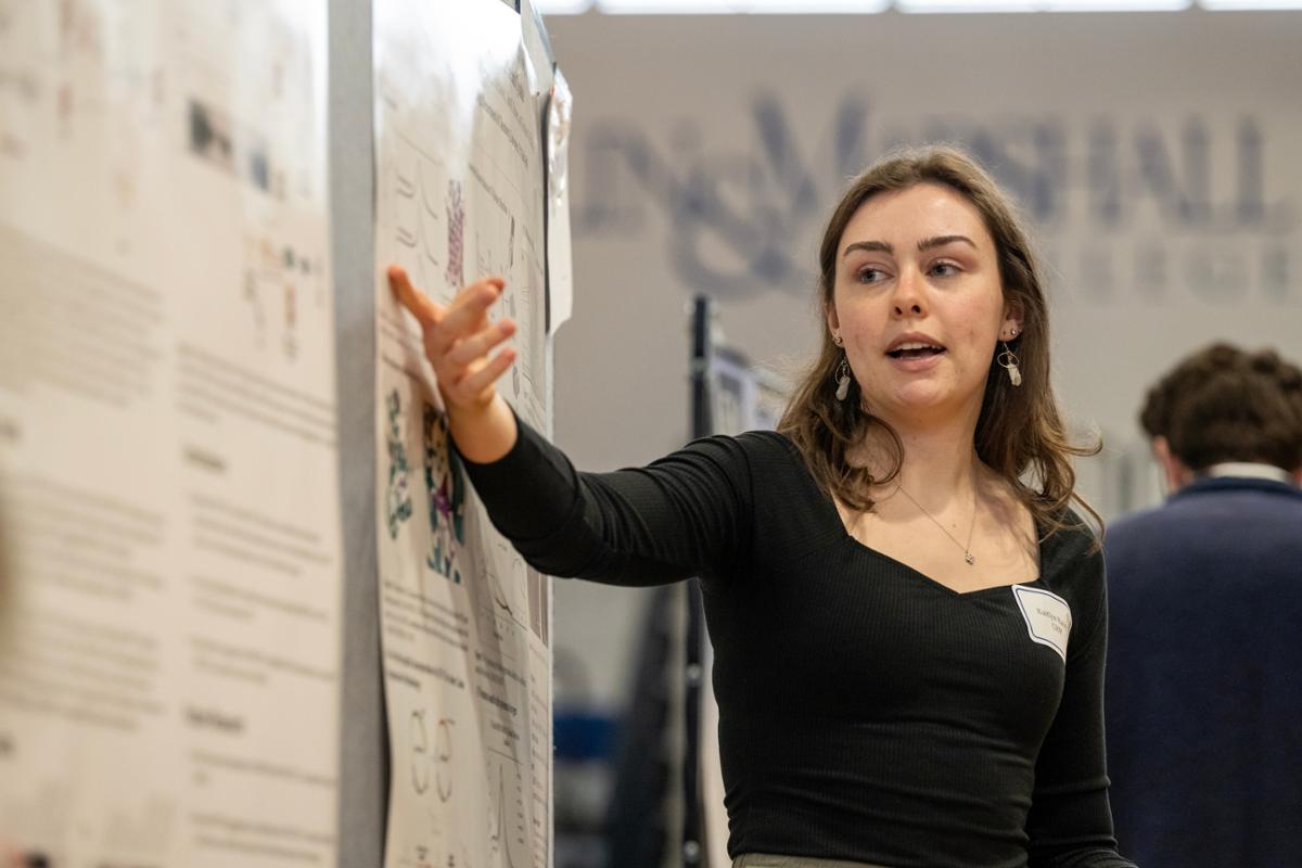 AI Literacy and Implementation Poster Session