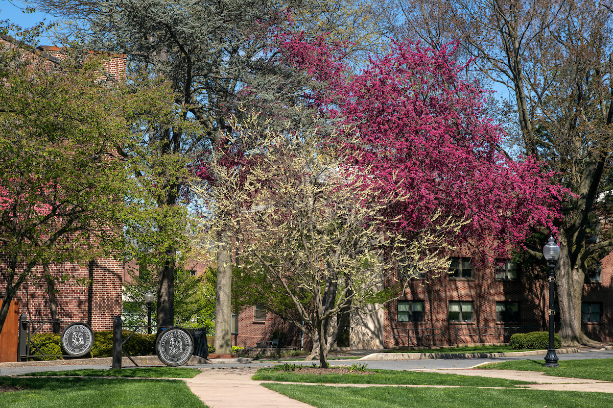 Spring on campus