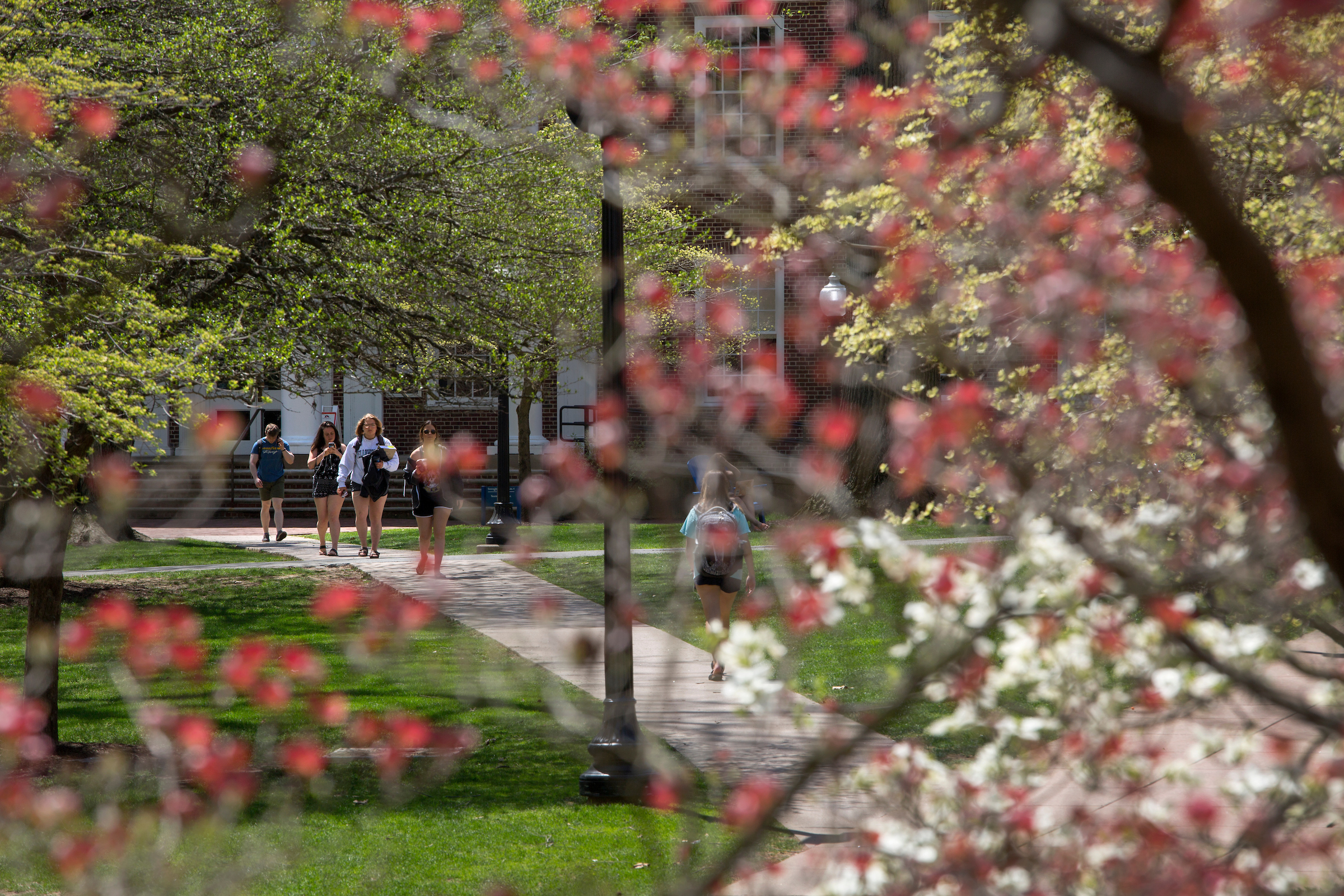 campus spring  