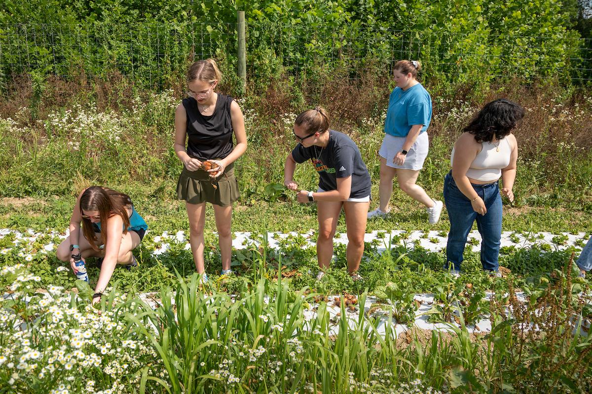 Lancaster encompasses a mix of downtown businesses, social service organizations, riverfronts, farmland, and a growing international community, giving the region a distinctive blend of urban and rural character.