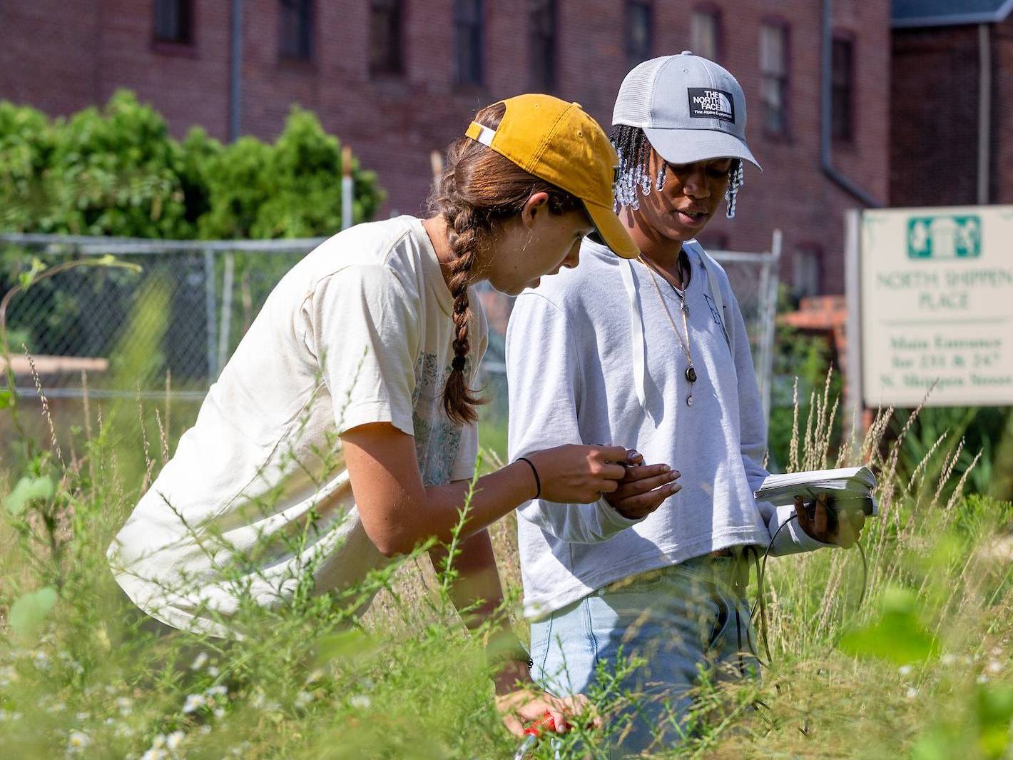 Fieldwork Image-ecohydrology research