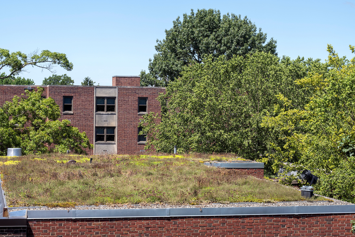 Green Roof on Hackman (chemsitry building)