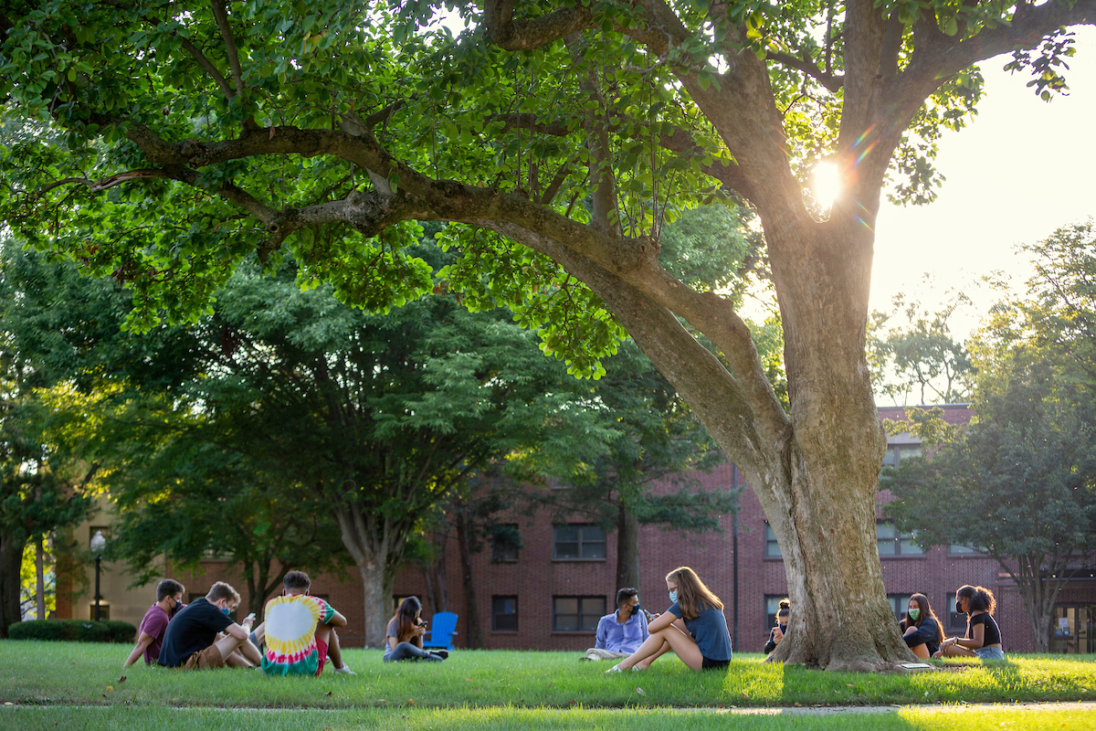 Trees on campus