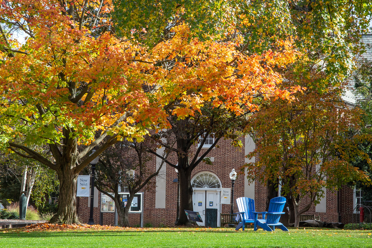 Trees on campus