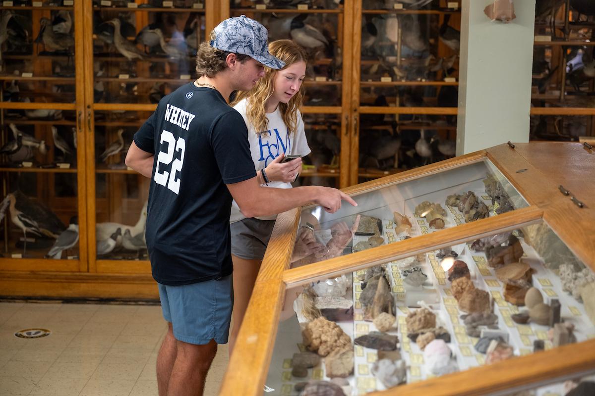Two people are looking at a display case of minerals or rocks in a museum.