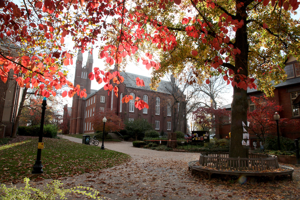 A building with fall leaves and filtered sunlight. 