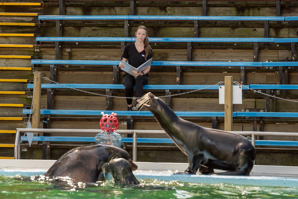 Curry also provides environmental enrichment and conducts animal observations.