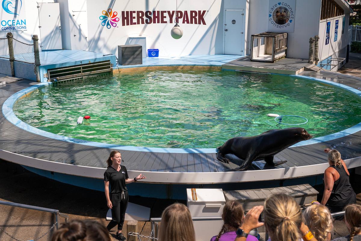 Curry discovered an unexpected joy in leading educational conservation-based programming at Ocean Connections.