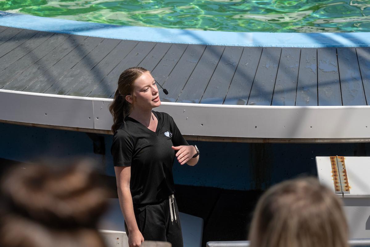“Every day I’m at Ocean Connections, I am learning something new about pinnipeds, which I can share with guests who may have never seen or interacted with this species grouping before,” she said.