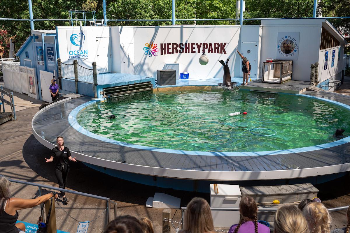 Curry discovered an unexpected joy in leading educational conservation-based programming at Ocean Connections.