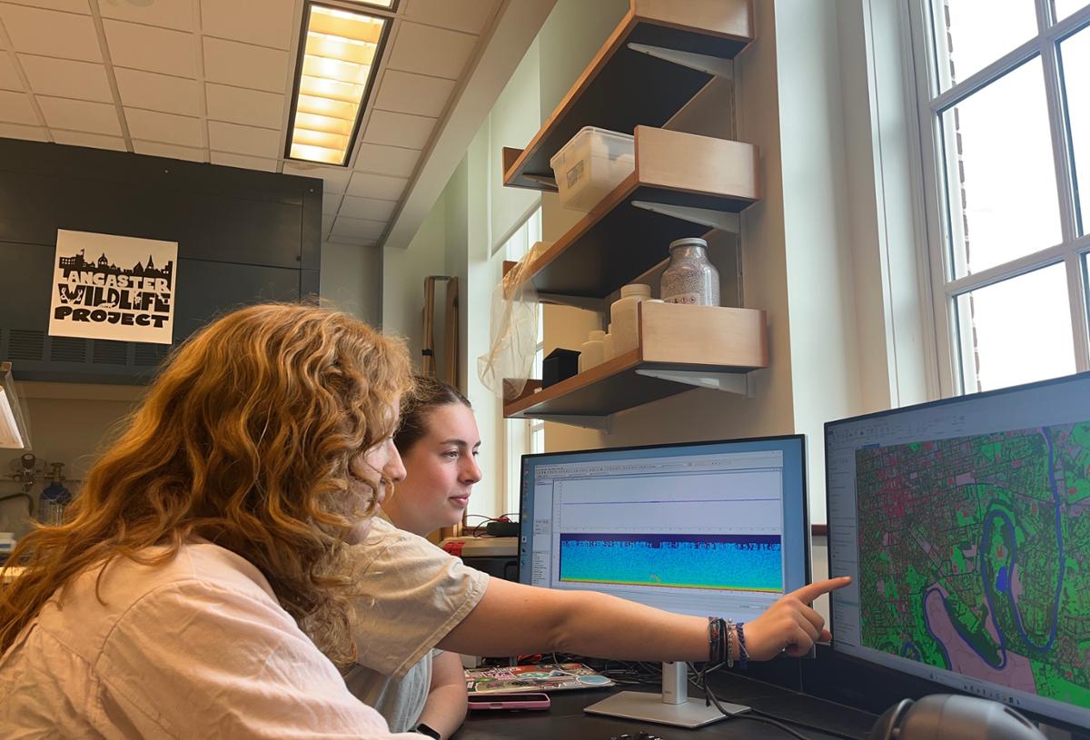 The team relies on F&M’s High-Performance Computing (HPC) cluster to translate these vast amounts of field data into actionable insights that guide local leaders in managing our parks.