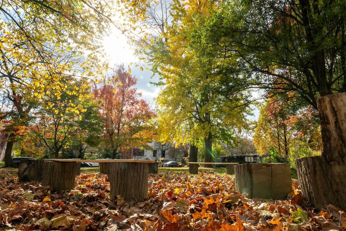 Buchanan Park Outdoor Classroom
