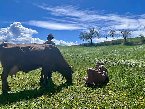 Jonathan Izzo at an Italian farm studying the origins of food.