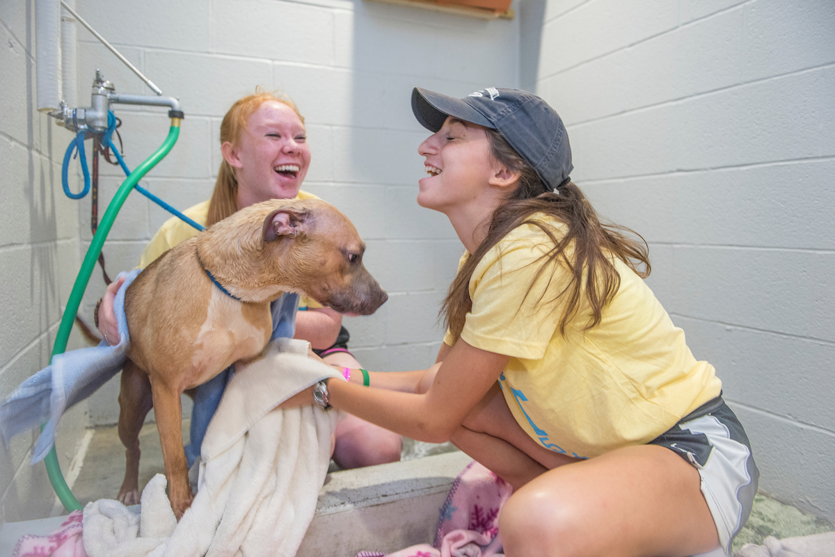 Two students volunteer at a local animal shelter