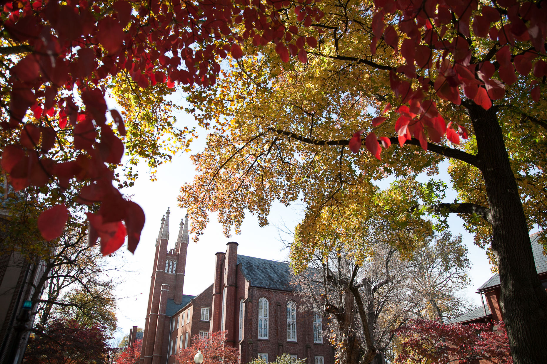 Campus in fall