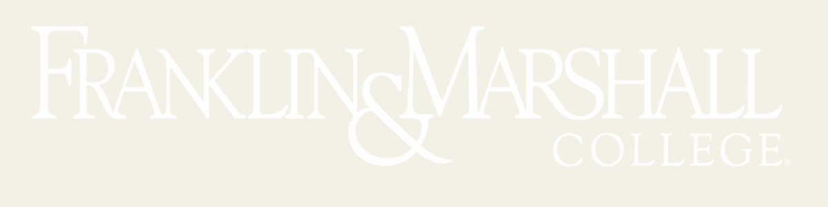 Horizontal Logo Reversed/White