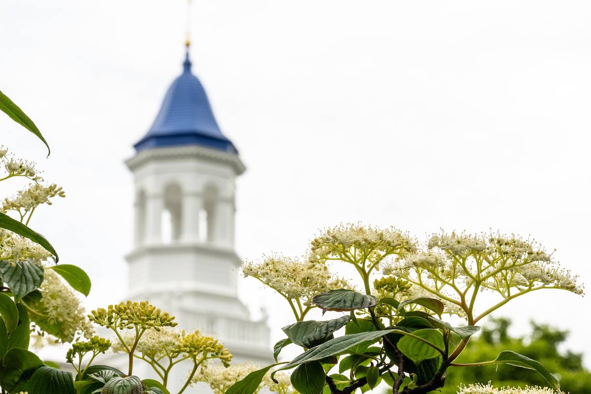 Campus cupola in spring