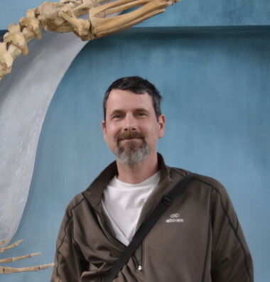 Prof. Dan Ardia