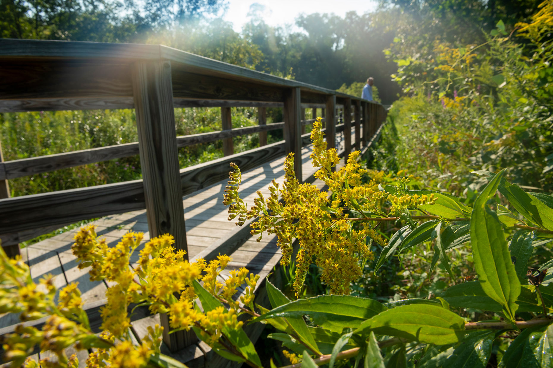 spalding conservancy