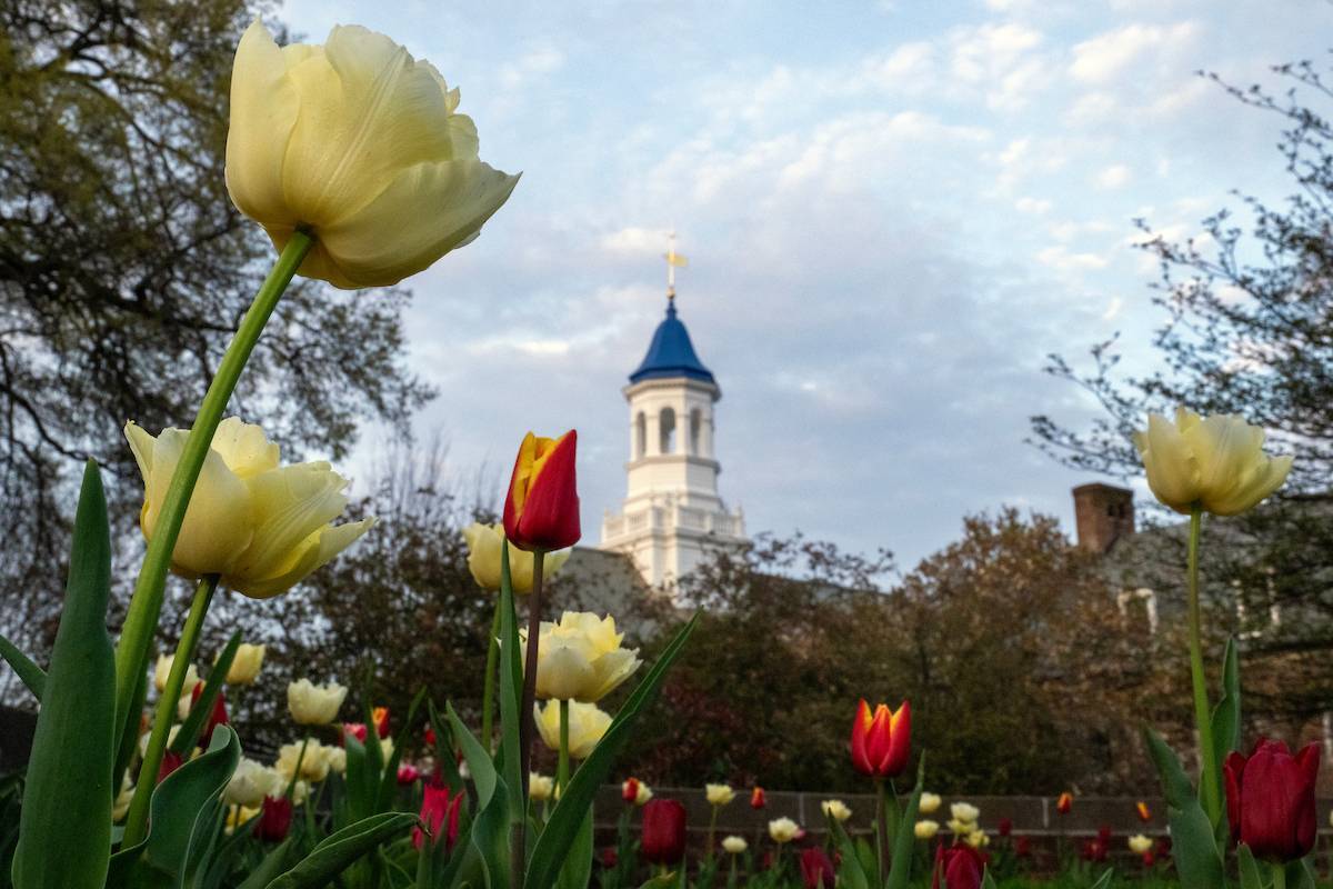 F&M campus cupola in spring