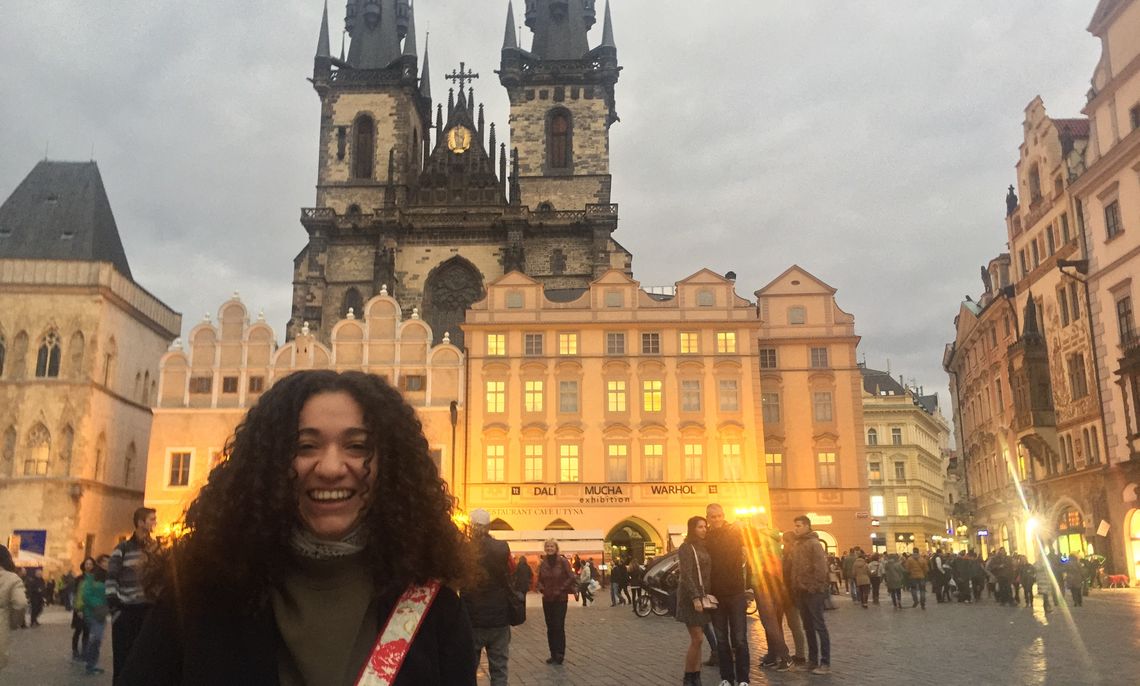 DIS Stockholm
