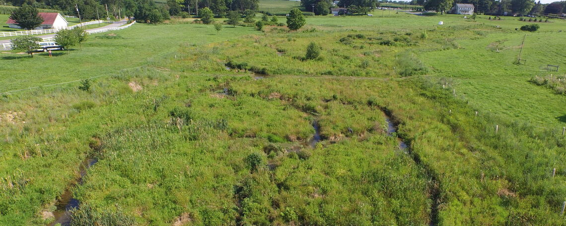 Wetland Restoration at Big Spring Run, Lancaster, PA