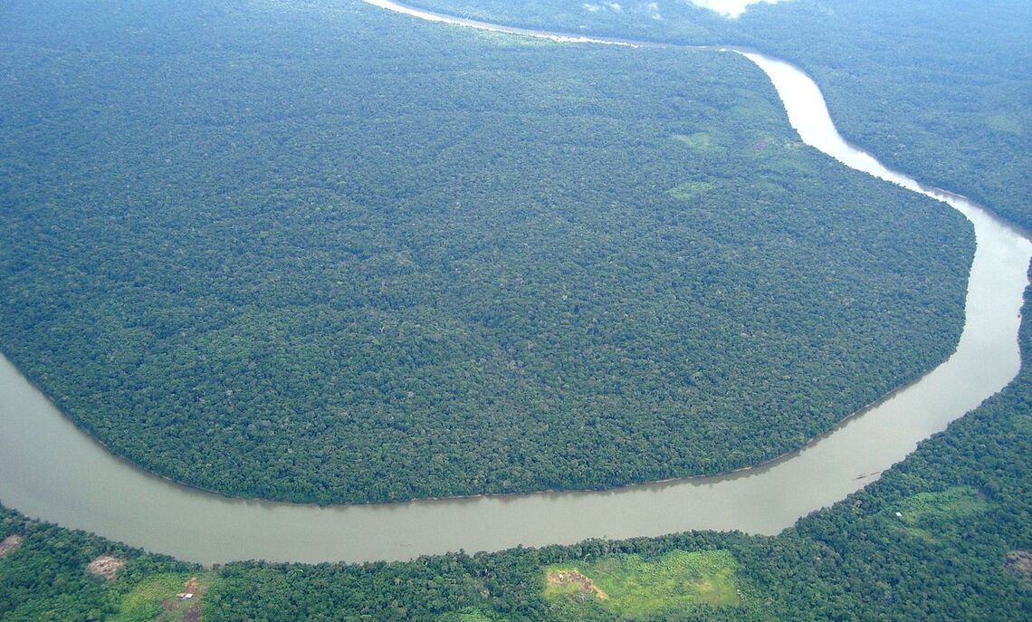 This is just a part of the Amazon rainforest in South America.