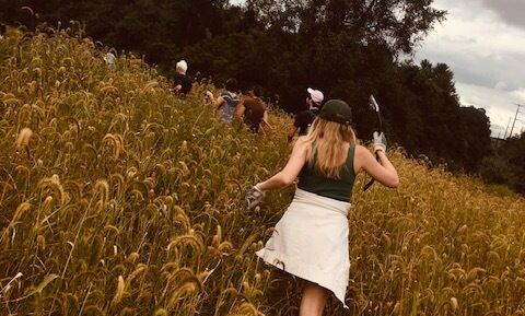 F&M students and staff work alongside Lancaster Conservancy volunteers to help maintain a pollinator habitat at Kellys Run Trail in Holtwood, PA.