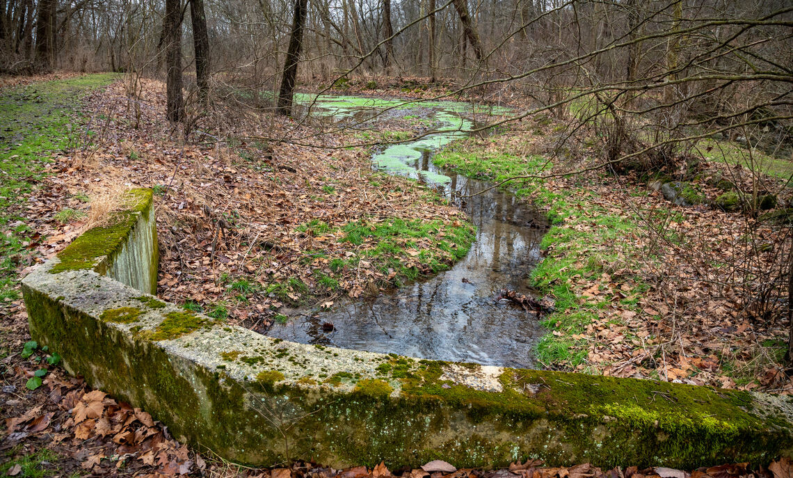Nature's beauty is on full display at Millport Conservancy, a short drive from campus in Lititz, Pa.