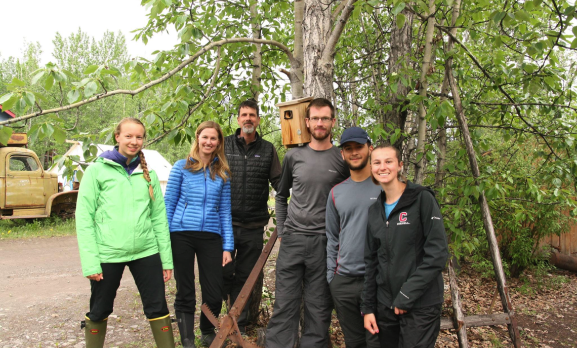 F&M Professor Ardia, behind Cornell Professor Vitousek in blue coat, is in the field with the swallow research team that includes F&M junior Rodriguez (wearing cap).