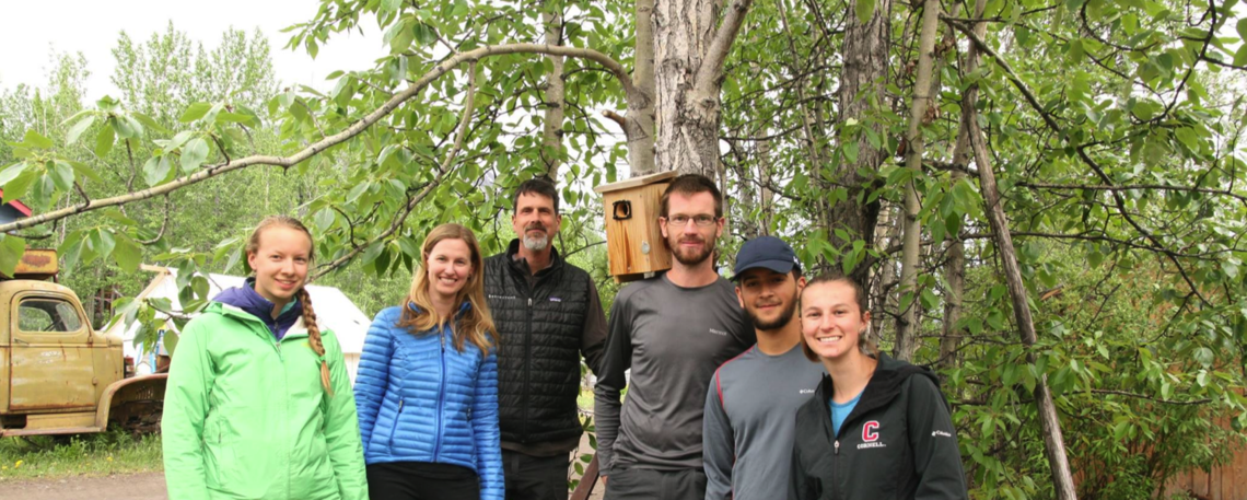 F&M Professor Ardia, behind Cornell Professor Vitousek in blue coat, is in the field with the swallow research team that includes F&M junior Rodriguez (wearing cap).
