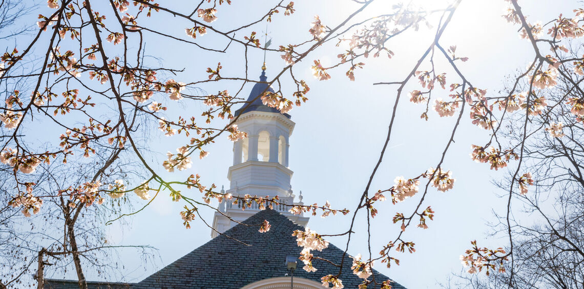 Campus spring blossoms in March 2023