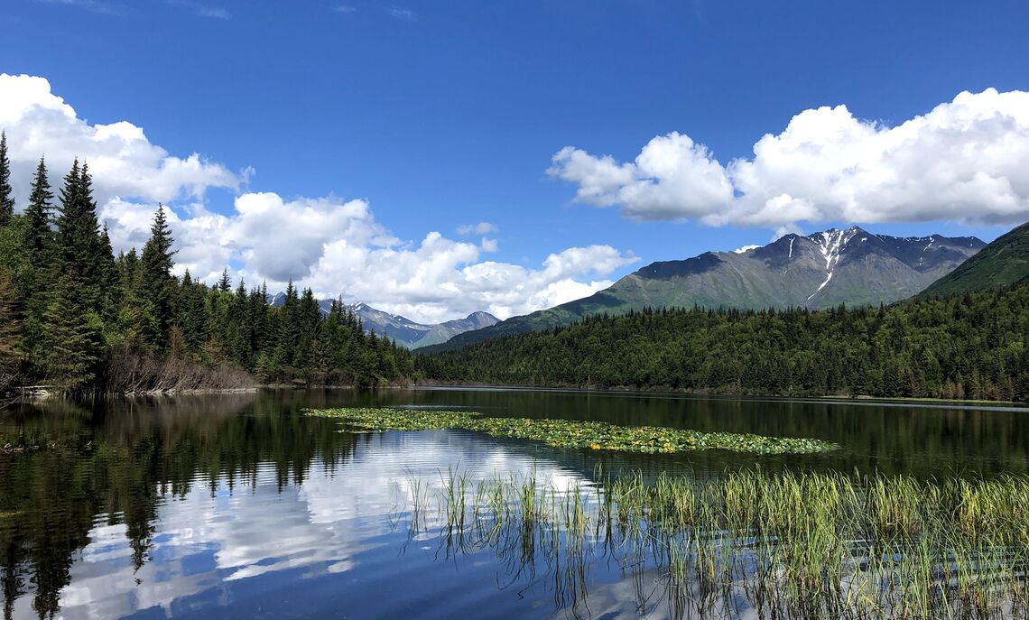 A lifelong resident of Moose Pass, Alaska, Ashley Guernsey '22 spent the past two summers as branch manager at Alaska Geographic's Kenai Fjords Visitor Center in Seward.