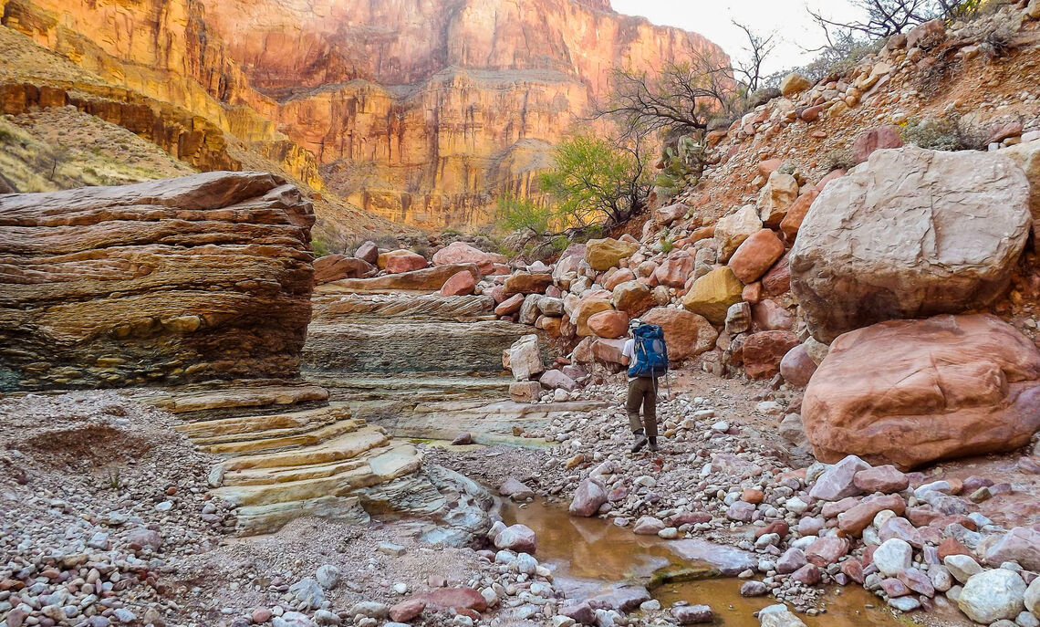 Janice Stroud-Settles '00 is wildlife program manager for Zion National Park.