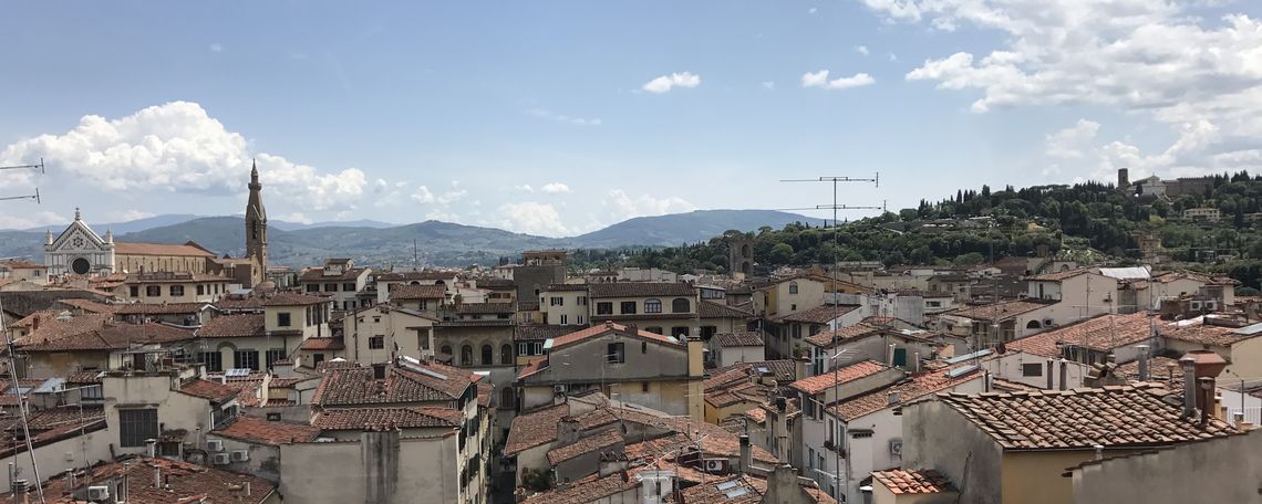 Roofs of Florence; view from Palazzo Vecchio.