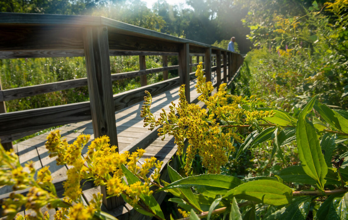 Spalding Conservancy