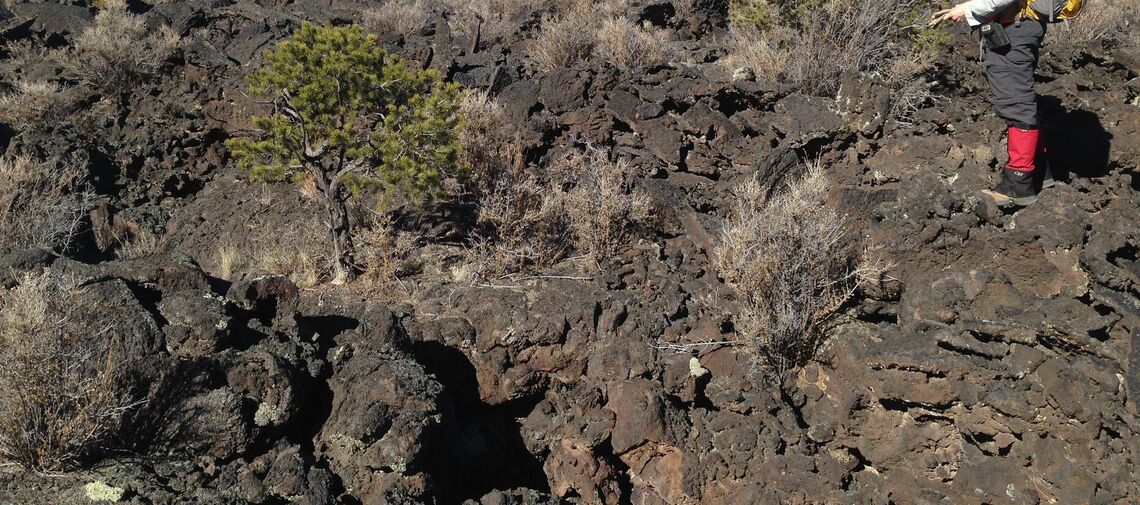 A volcanic field in New Mexico's El Malpais National Monument.