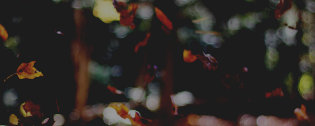 Falling leaves Canva image