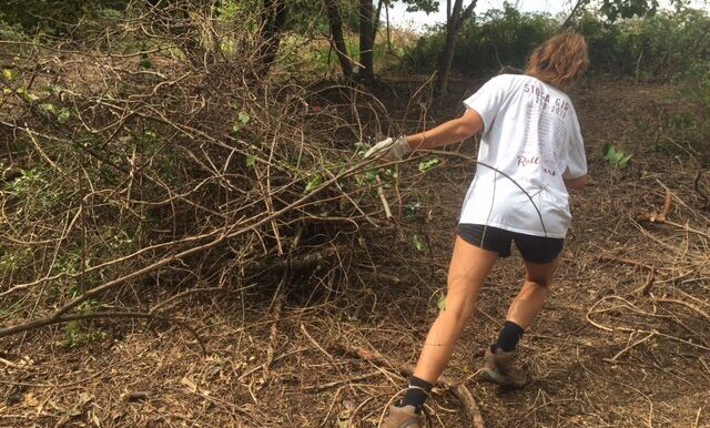 F&M students and staff work alongside Lancaster Conservancy volunteers to help maintain a pollinator habitat at Kellys Run Trail in Holtwood, PA.