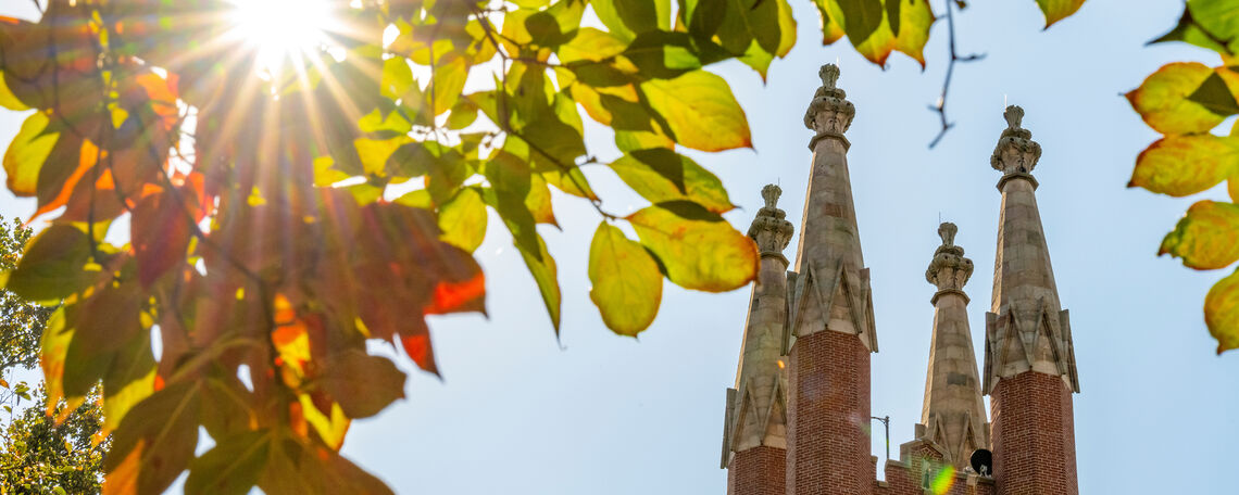 Campus in fall