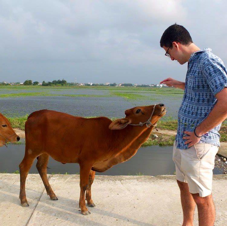 hoi an vietnam cow SIT IHP Cities F16