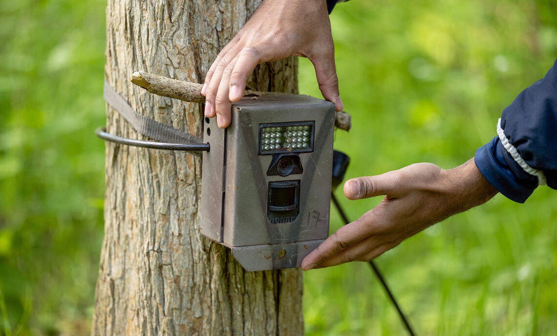 Vyas Agarwal '23 adjusts a trail camera used for field research at Spalding Conservancy.