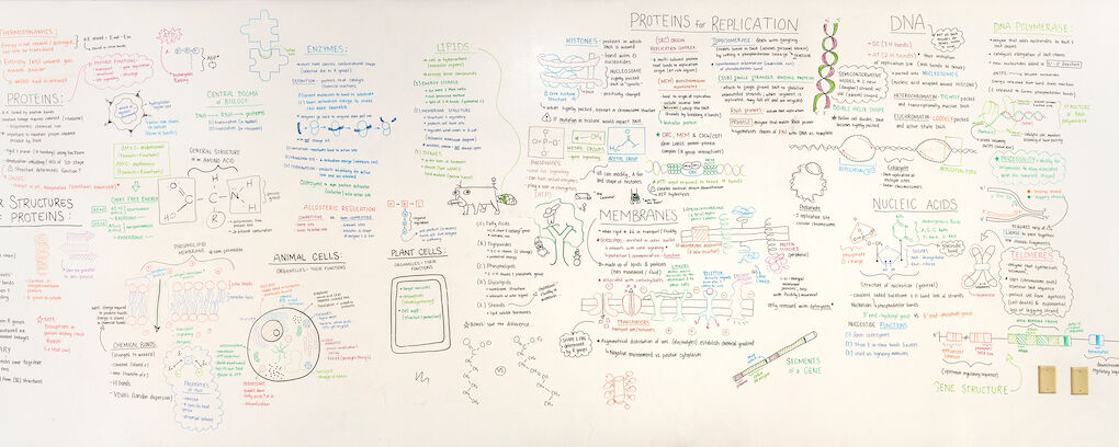 Martin Mural of Scientific Musings.