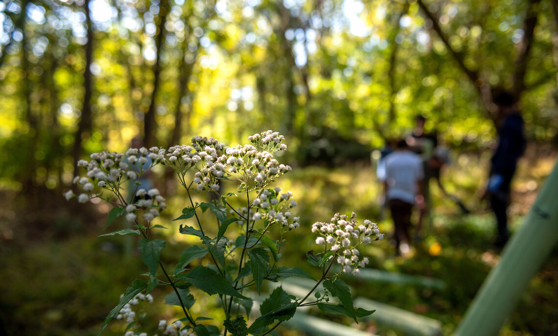 Spalding Conservancy is home to flora, fauna and countless fieldwork projects.