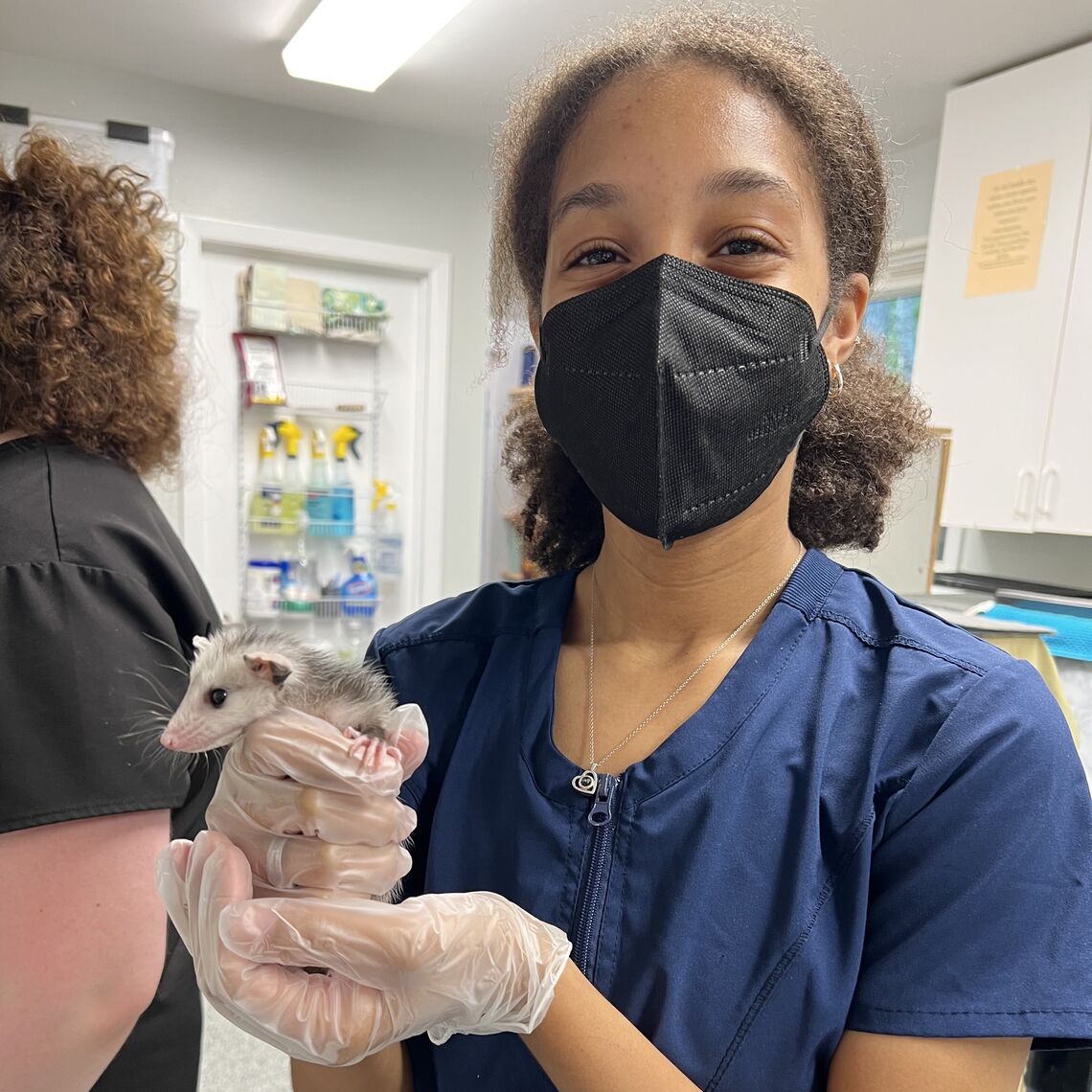 "I only recently decided to pursue a career specific to wildlife and exotic animals. I have learned a great deal about handling animals, information about the animals themselves, and so much more," Thomas said, pictured here holding a baby opossum. "The experience I've gained from being at Cedar Run has confirmed this decision and has made me more compelled to acquire additional opportunities that will offer me diverse experience both before and after going to vet school."