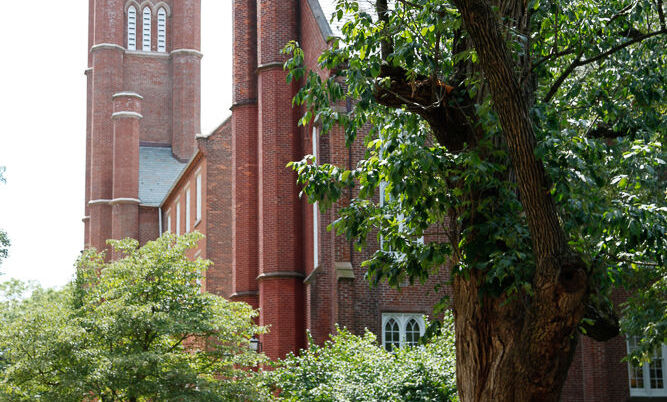 More than 100 years old, the Protest Tree outside Distler House reflects the endurance of 226-year-old Franklin & Marshall College and liberal arts education. (Photo by Melissa Hess)