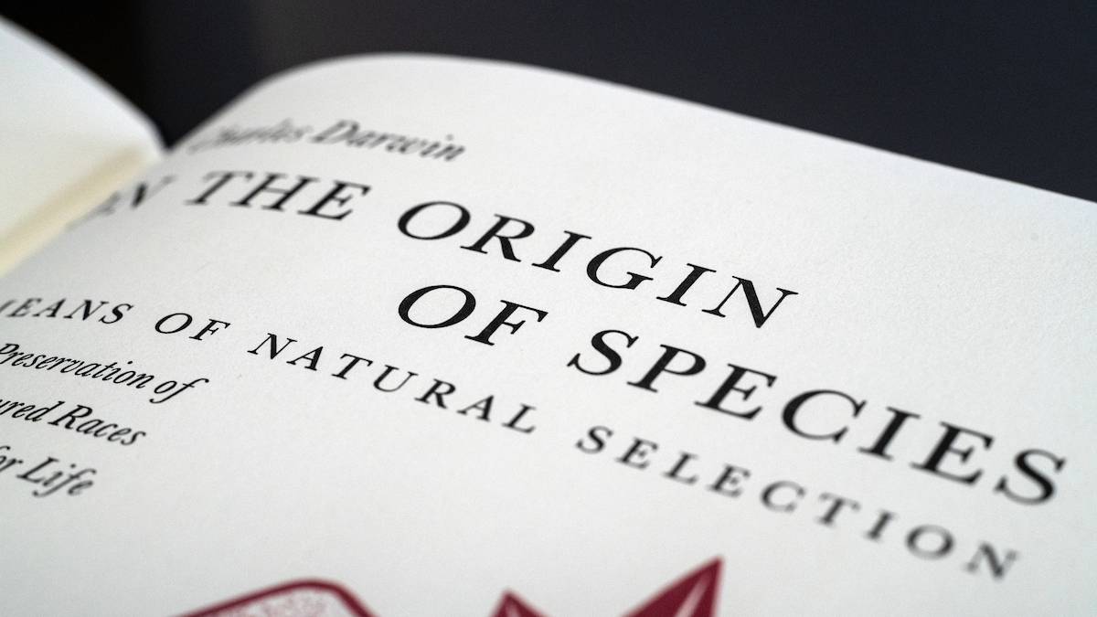 Darwin Collection Darwin Collection