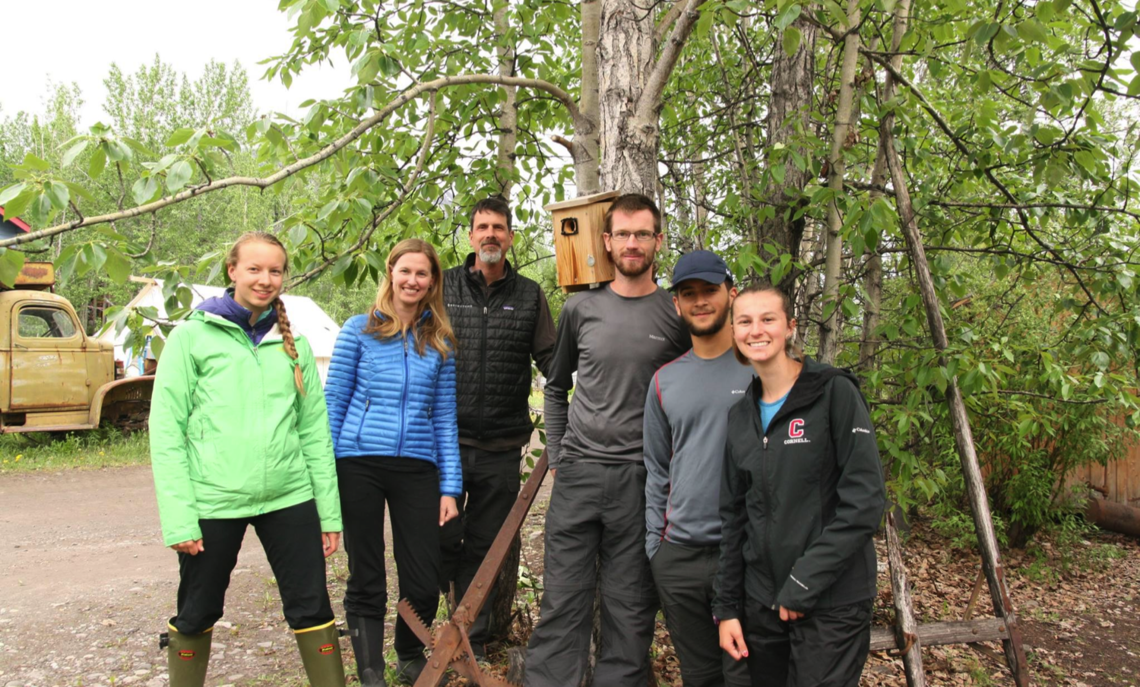 ... F&M Professor Ardia, behind Cornell Professor Vitousek in blue coat, is in the field with the swallow research team that includes F&M junior Rodriguez (wearing cap).